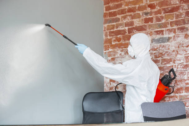 Best Biohazard Mold Removal  in Redwood Falls, MN