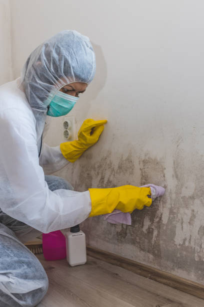 Best Industrial Mold Remediation  in Redwood Falls, MN