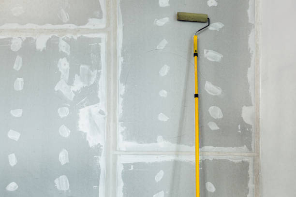 Mold Remediation for Vacation Homes in Redwood Falls, MN