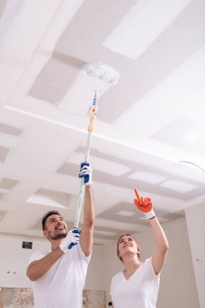 Best Residential Mold Inspection & Testing  in Redwood Falls, MN
