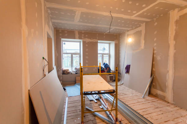 Trusted Redwood Falls, MN Mold Removal Experts